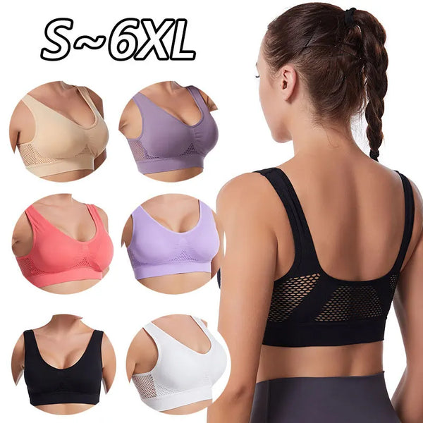 sports bra small to 6xl